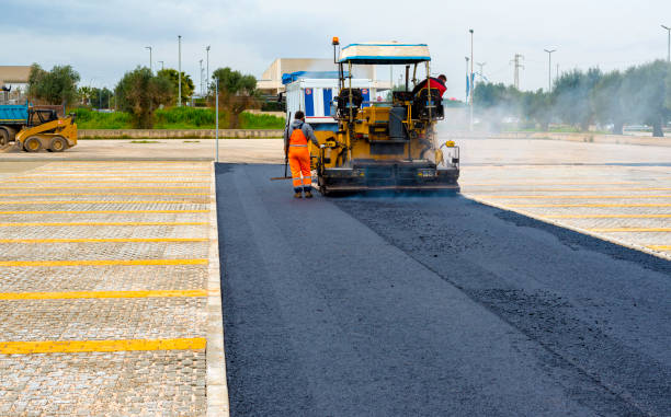 Best Best Driveway Pavers  in Williamsburg, FL