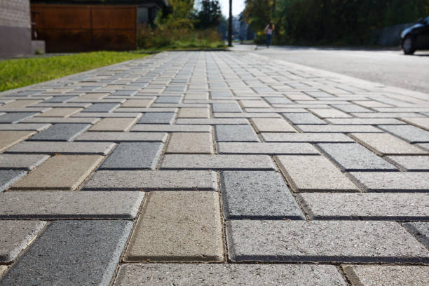 Best Driveway Pavers Cost  in Williamsburg, FL