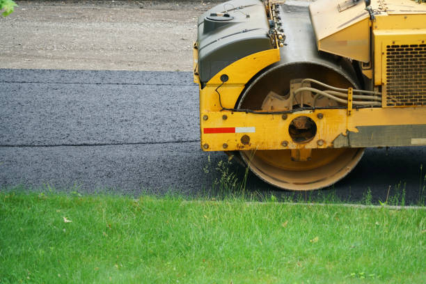 Best Driveway Pavers Near Me  in Williamsburg, FL